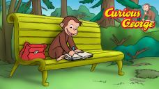 A cute monkey smiling and sitting on a bench, reading a book in a park.