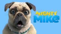 A close-up of a beige pug with a surprised look on his face, in front of a bright blue background,